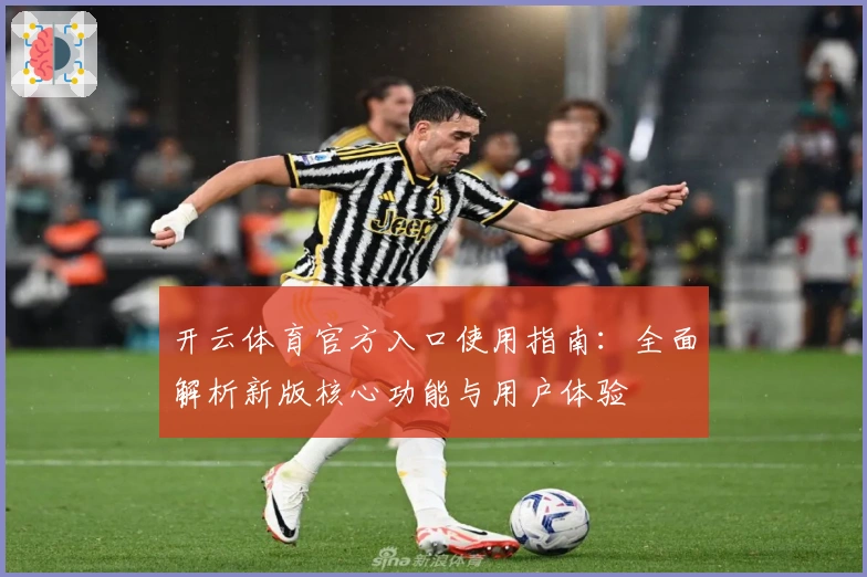 开云体育官方入口使用指南：全面解析新版核心功能与用户体验